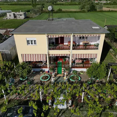 Hostel Marku Shkodra